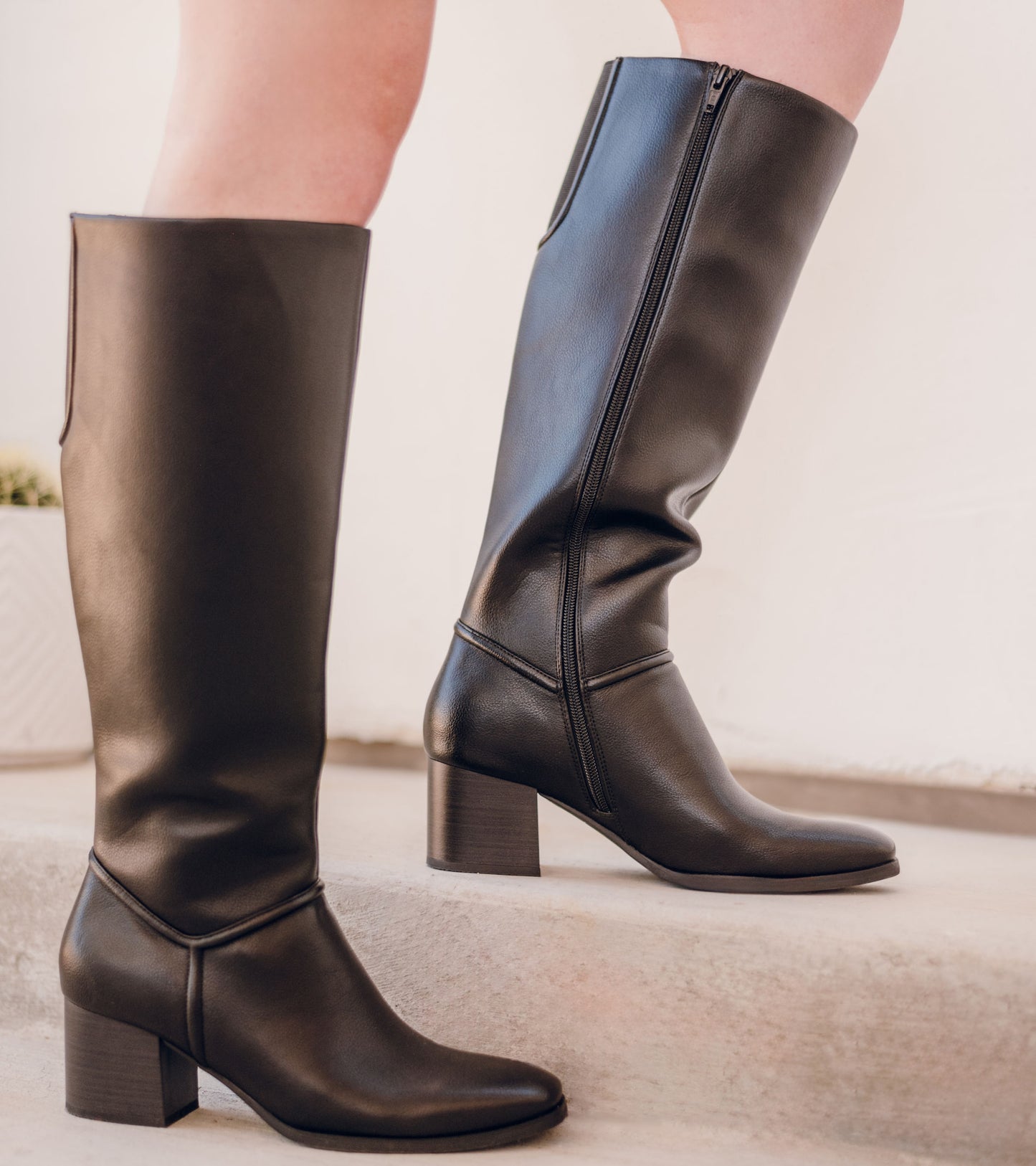 Baretraps Thalia Tall Boot