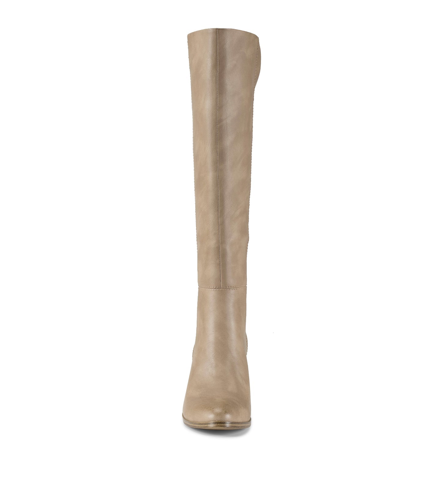 Baretraps Kiara Tall Boot