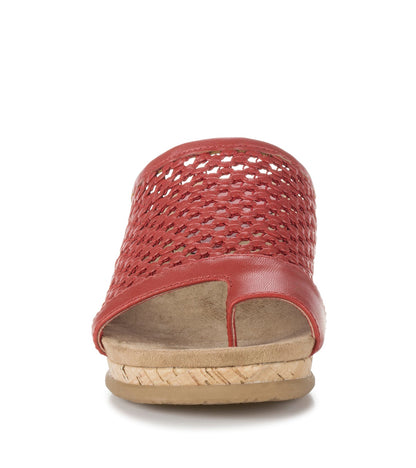Baretraps Faye Wedge Sandal